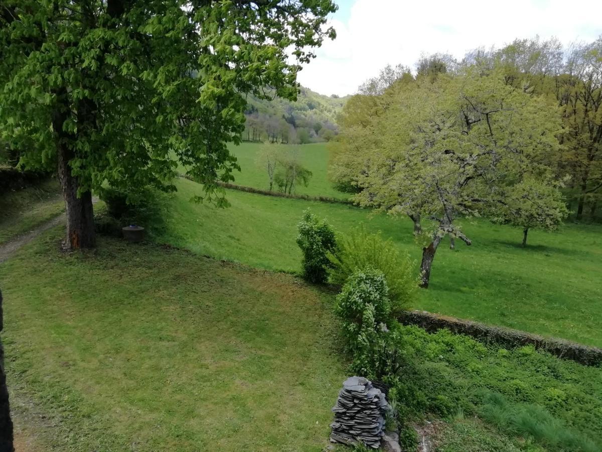 Maison A La Campagne Au Coeur Du Cantal Dept 15 Marmanhac Eksteriør bilde